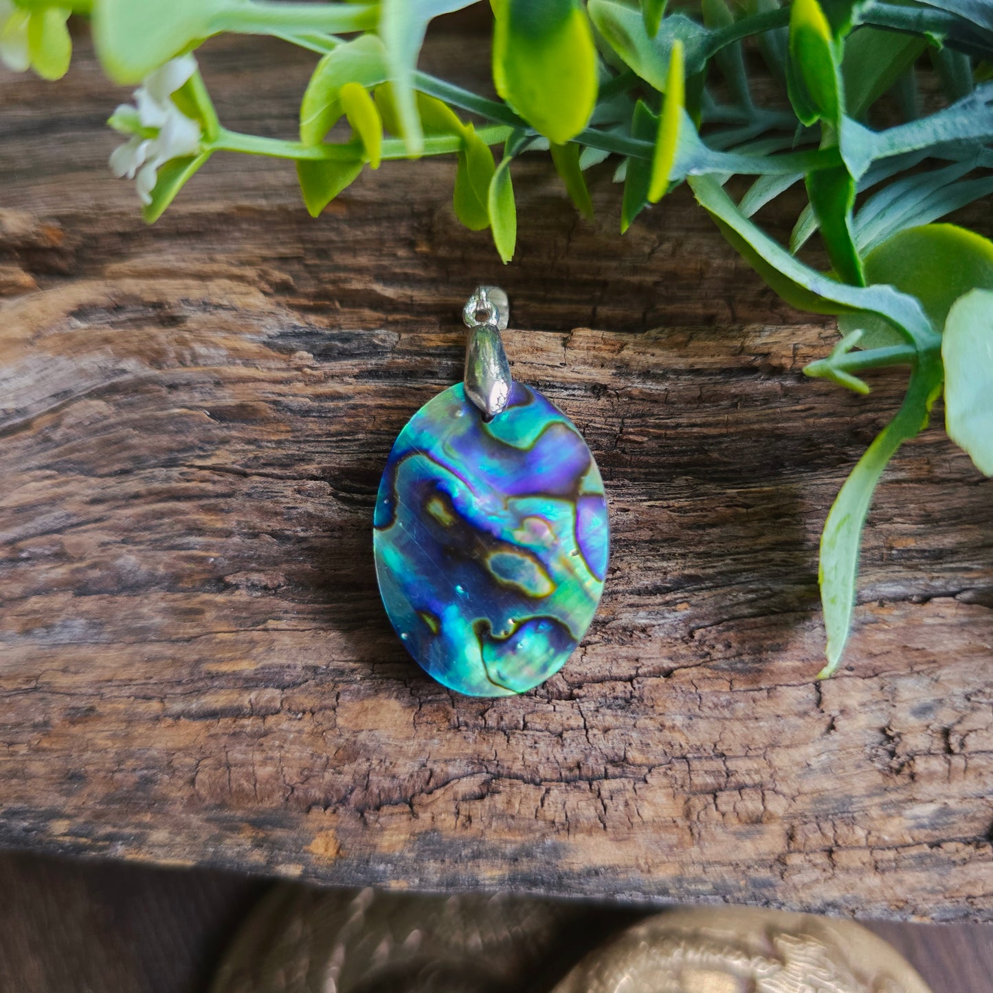 Pendentif en Abalone - n°2