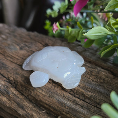 Tortue en Agate n°3