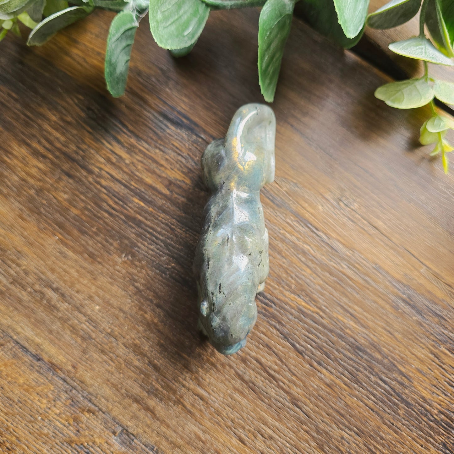 Léopard Labradorite - n°2