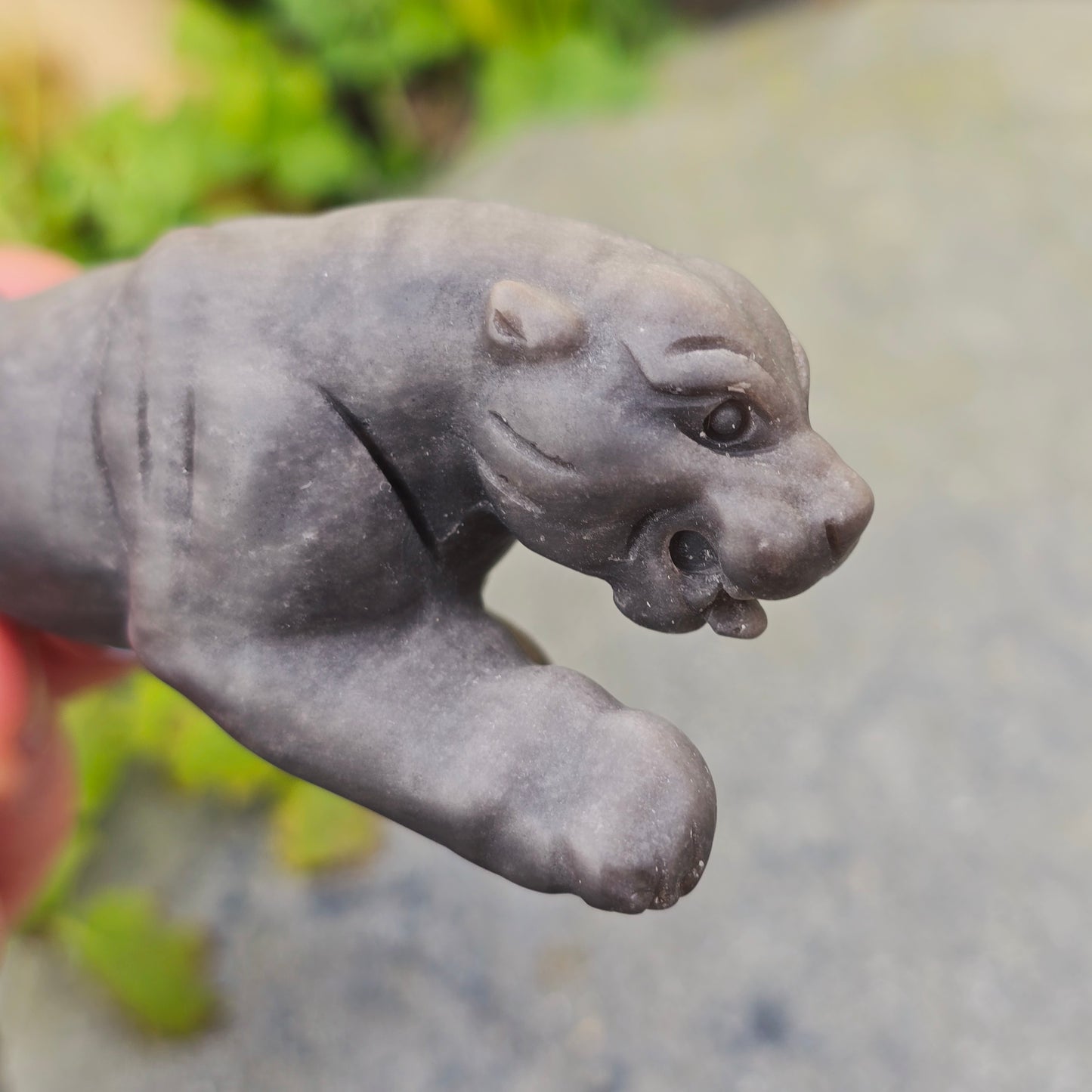 Léopard en Obsidienne argentée mate