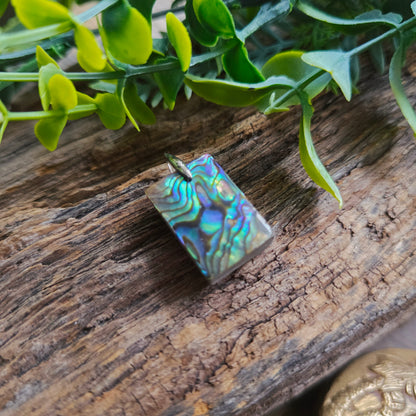Pendentif en Abalone - n°3