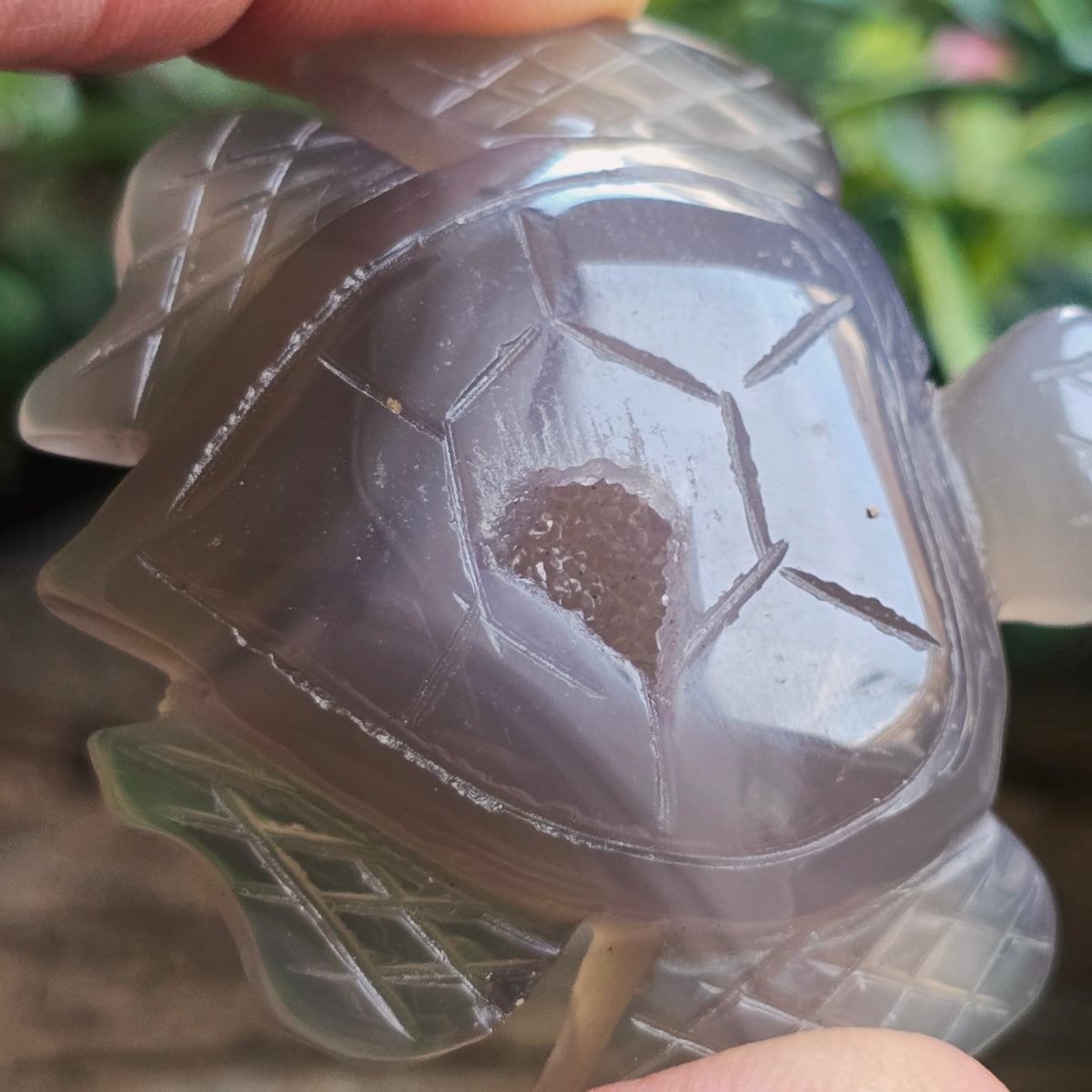Tortue en Agate n°2