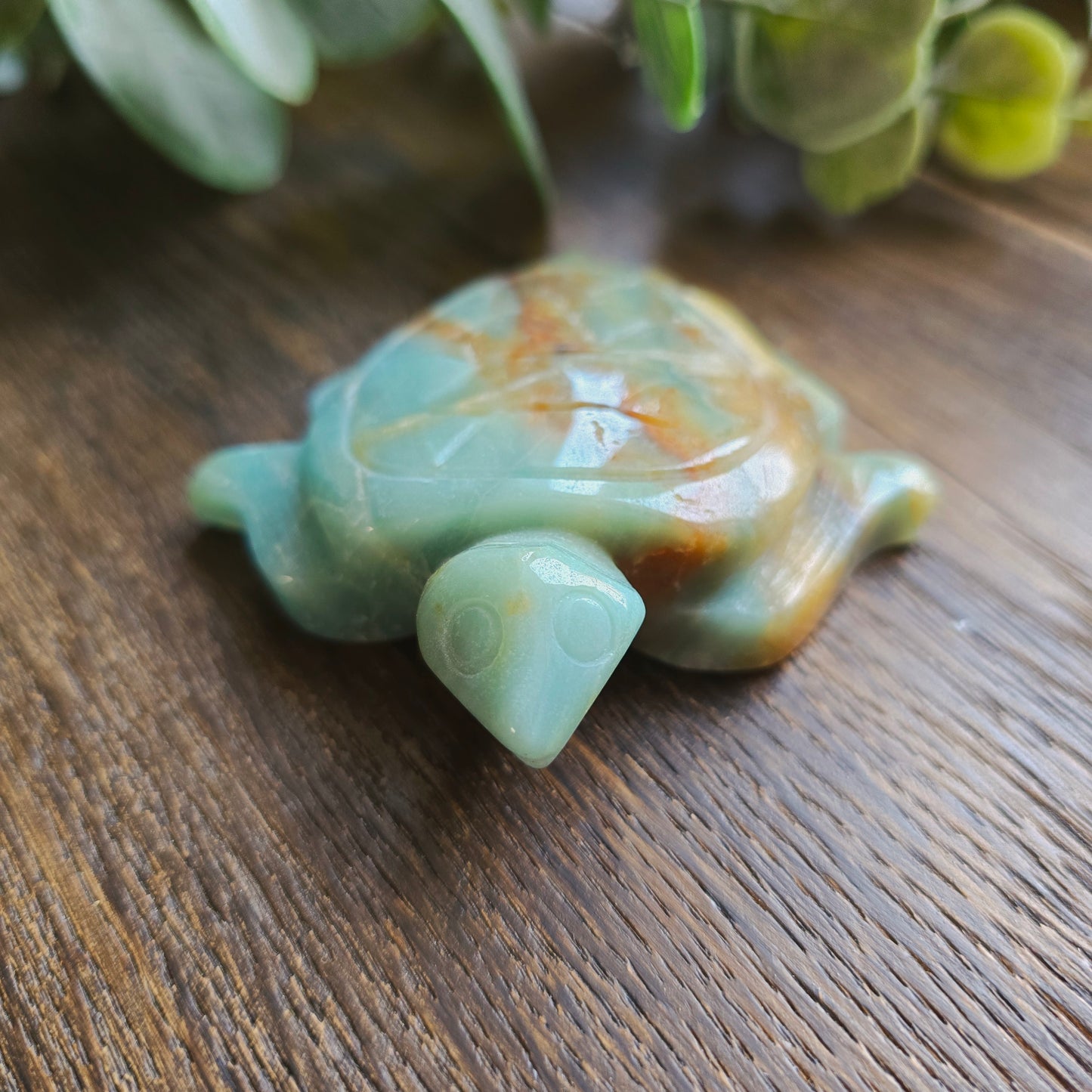 Tortue en Amazonite