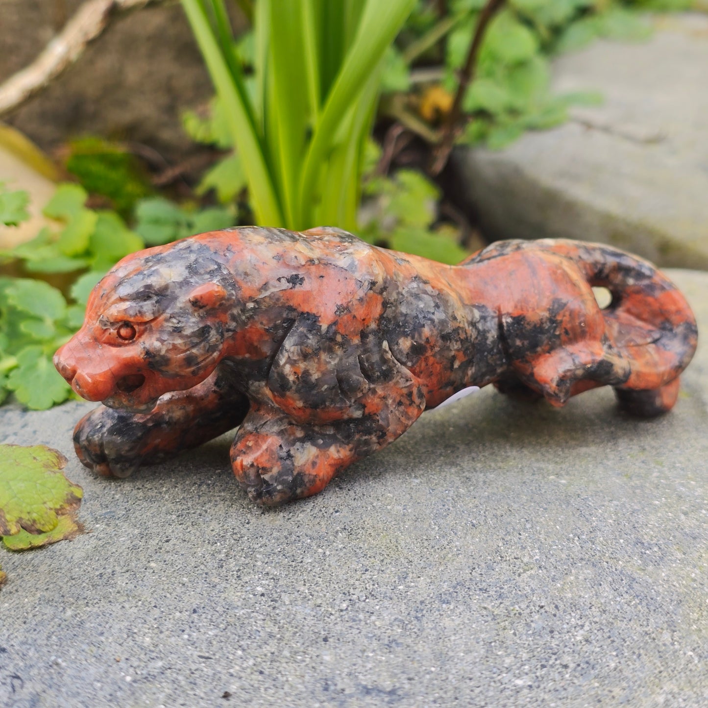 Léopard en Yooperlite - n°1