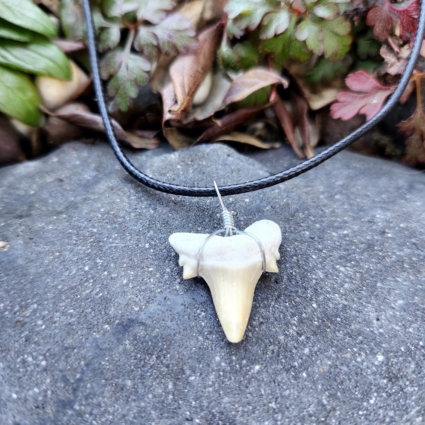 Dent de requin en collier - Beige