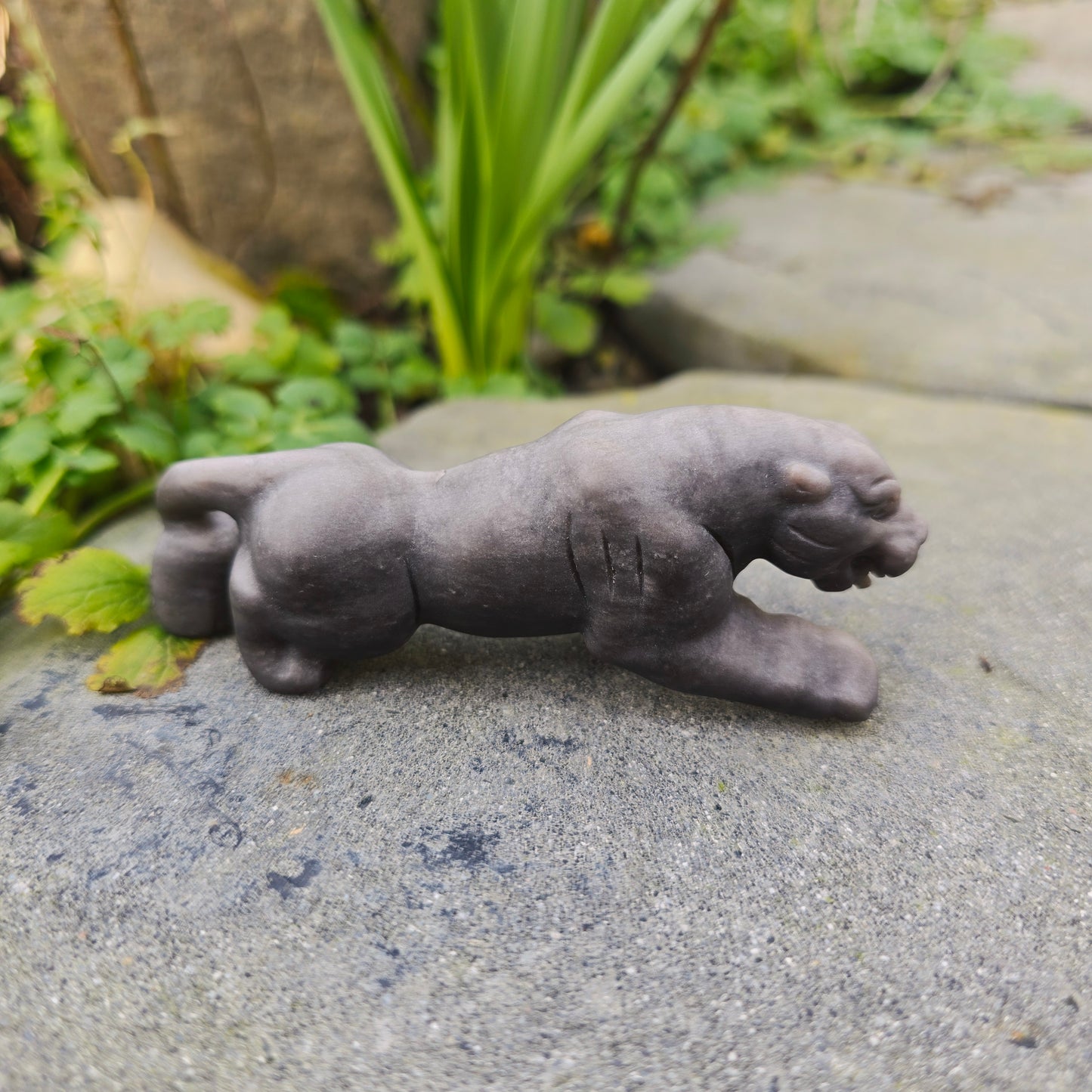 Léopard en Obsidienne argentée mate