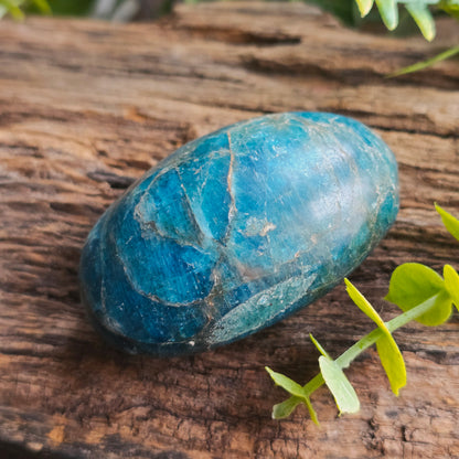 Galet en Apatite bleue - n°2