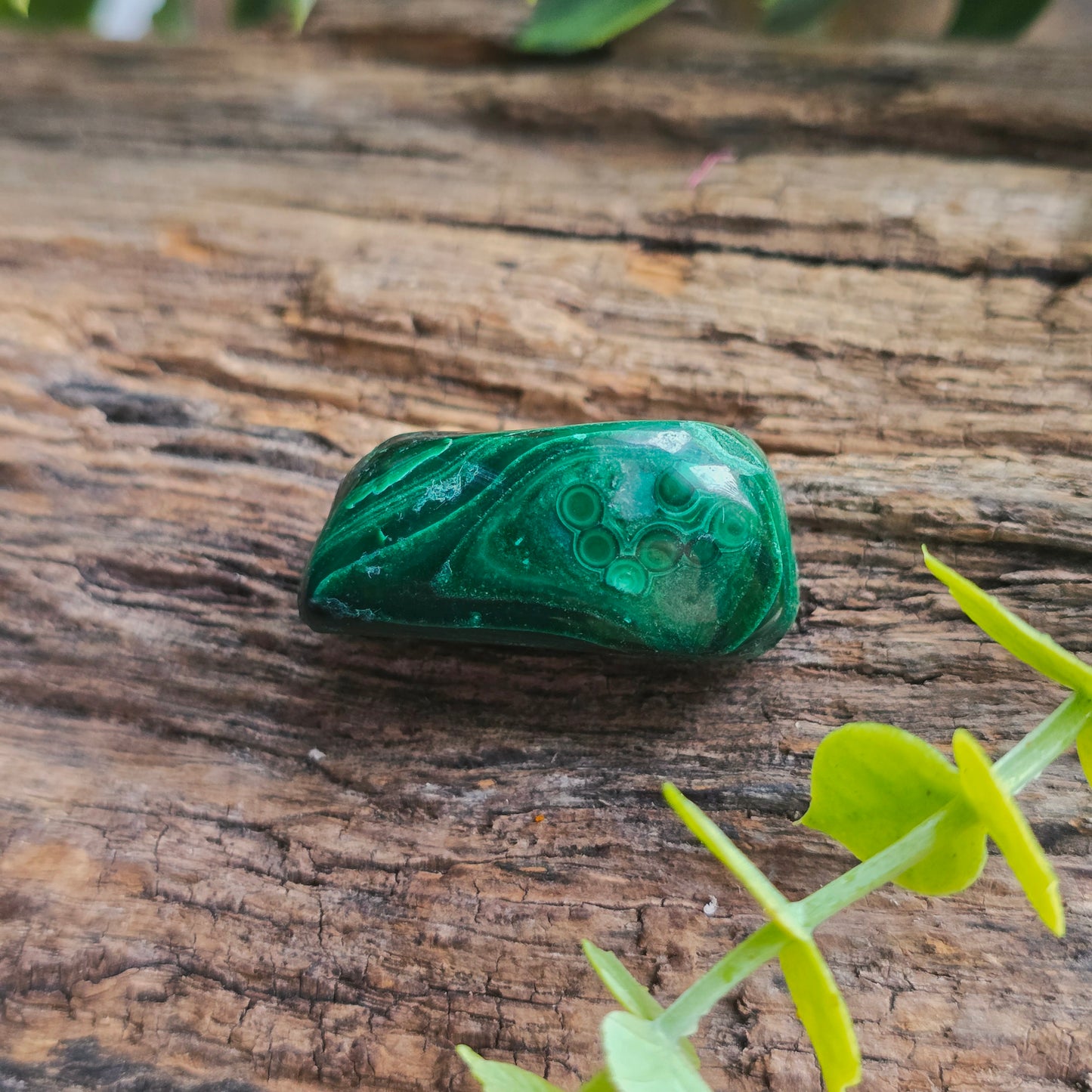 Galet en Malachite - n°3