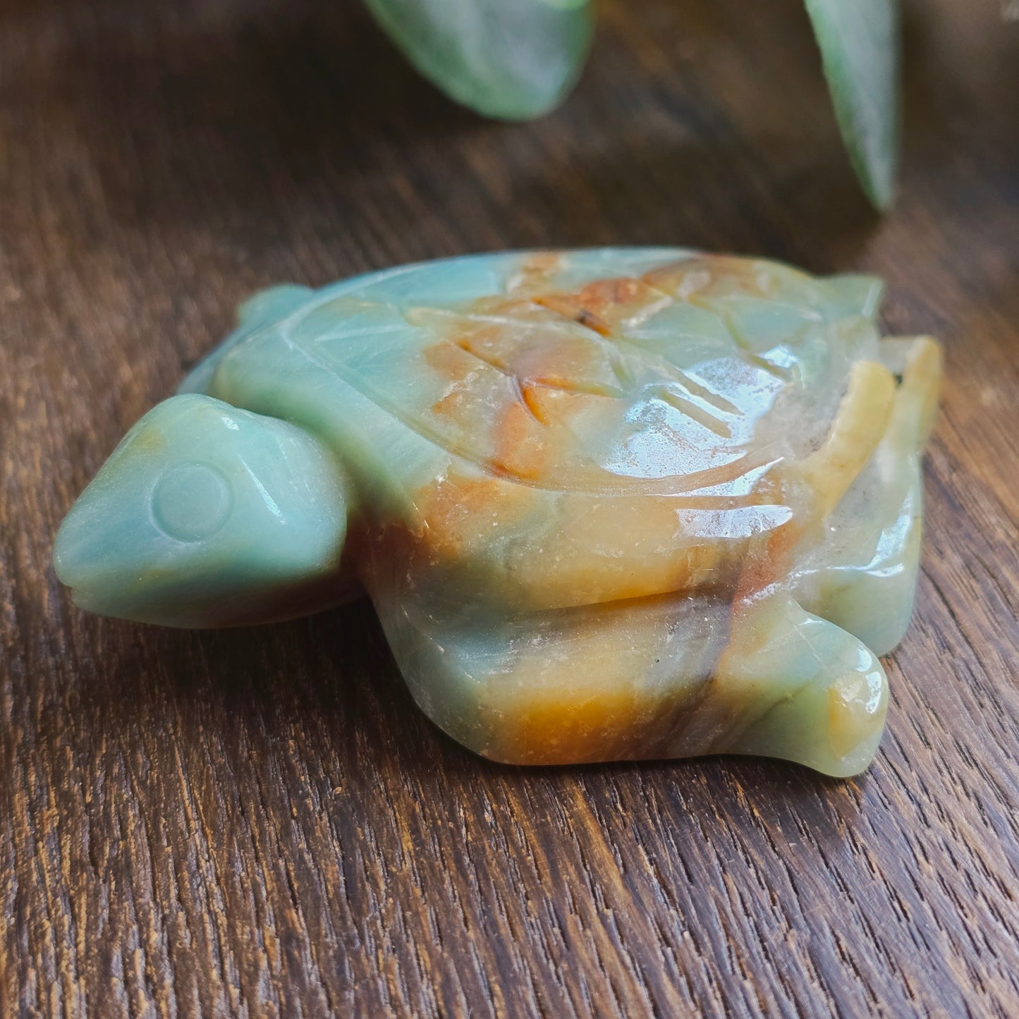 Tortue en Amazonite