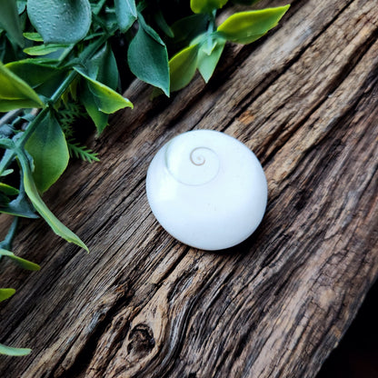 Galet en Œil de Sainte-Lucie