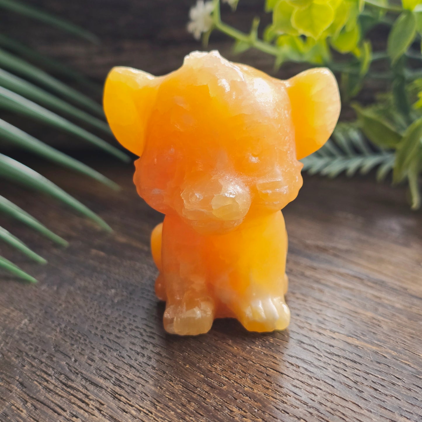 Simba en Calcite orange - 5,5cm