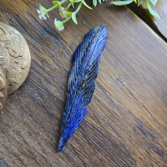 Plume en Sodalite - n°2