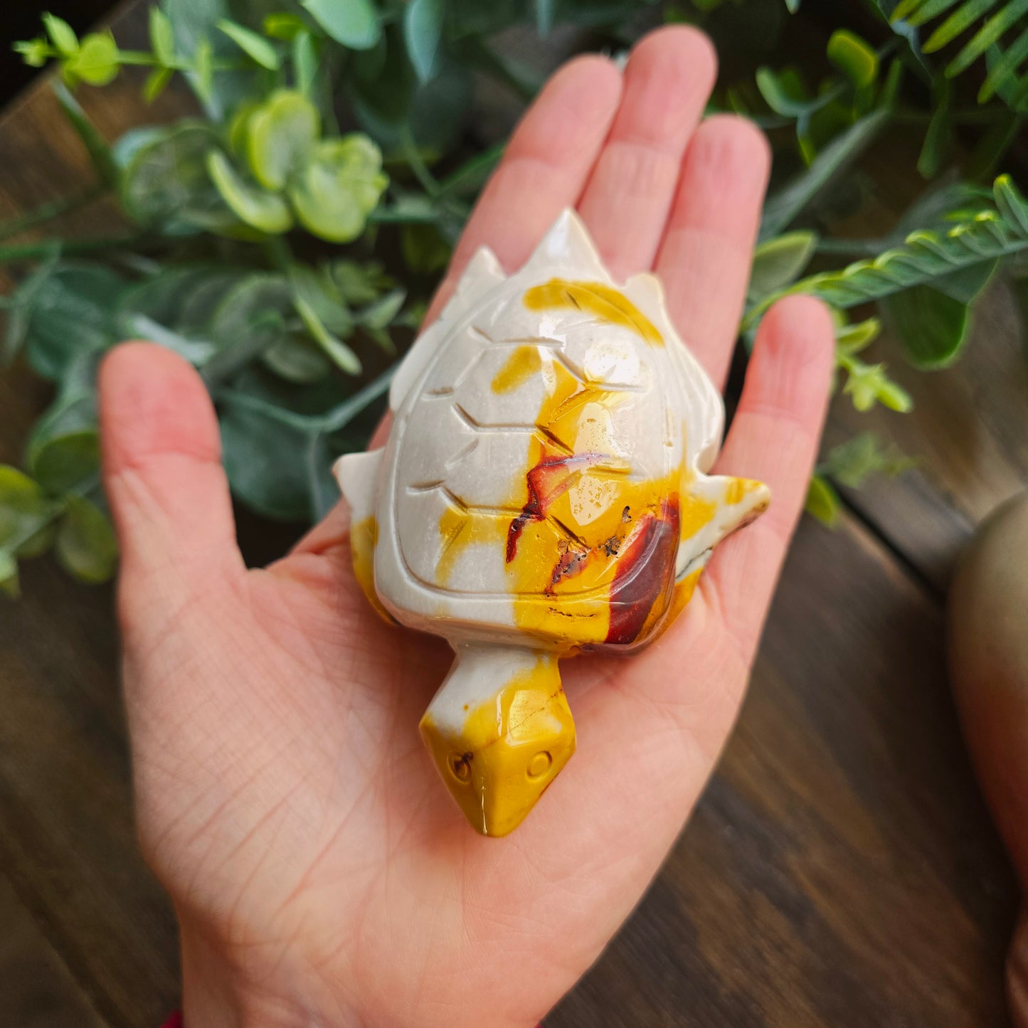 Tortue en Jaspe mokaïte - n°1