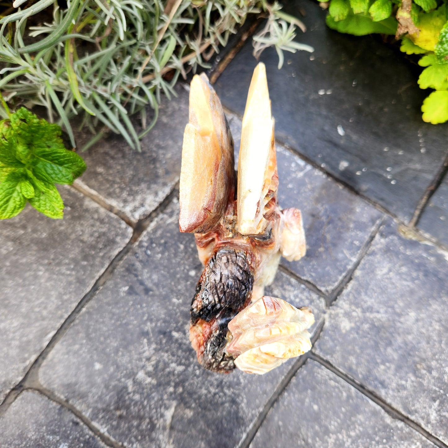 Sculpture de Dragon en Jaspe - n°2