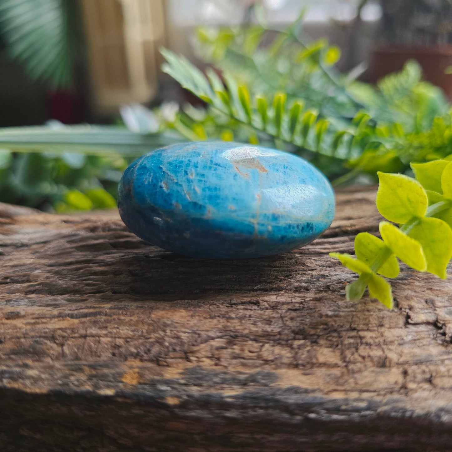Galet en Apatite bleue - n°1
