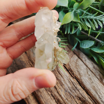 Quartz Chlorite montagne