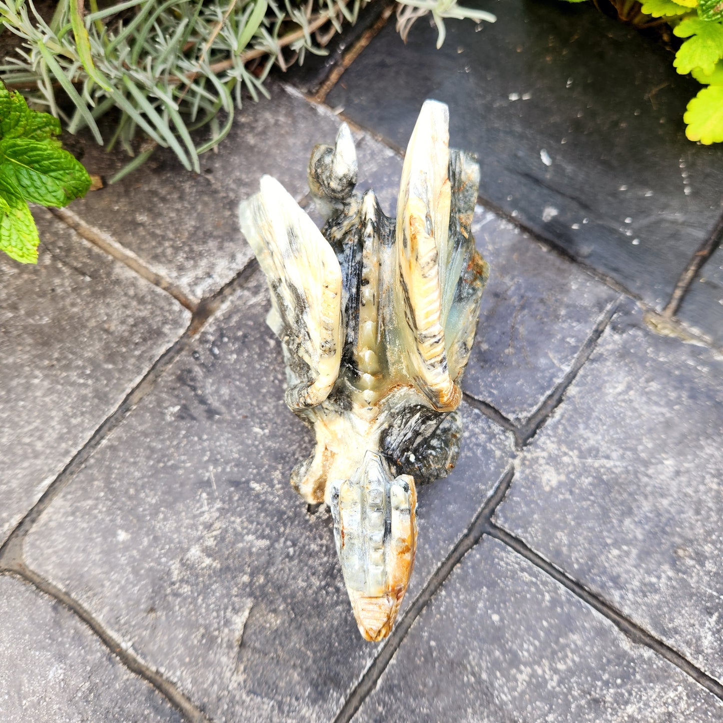 Sculpture de Dragon en Jaspe - n°3