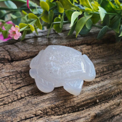 Tortue en Agate n°1
