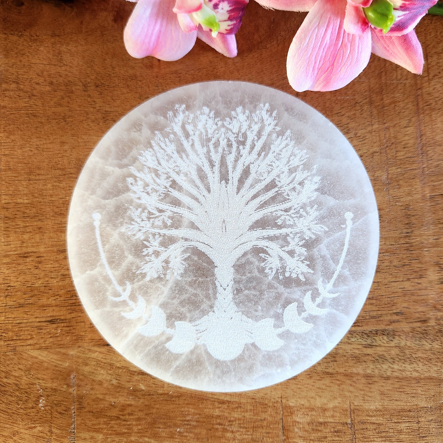 Plaque Arbre + Cycle lunaire