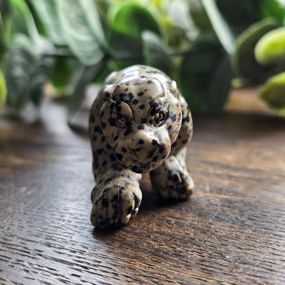 Léopard en Jaspe dalmatien - n°1