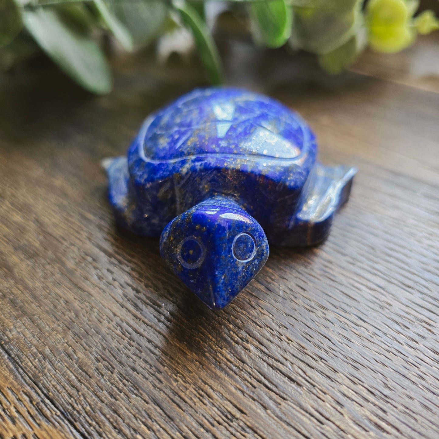 Tortue en Lapis lazuli