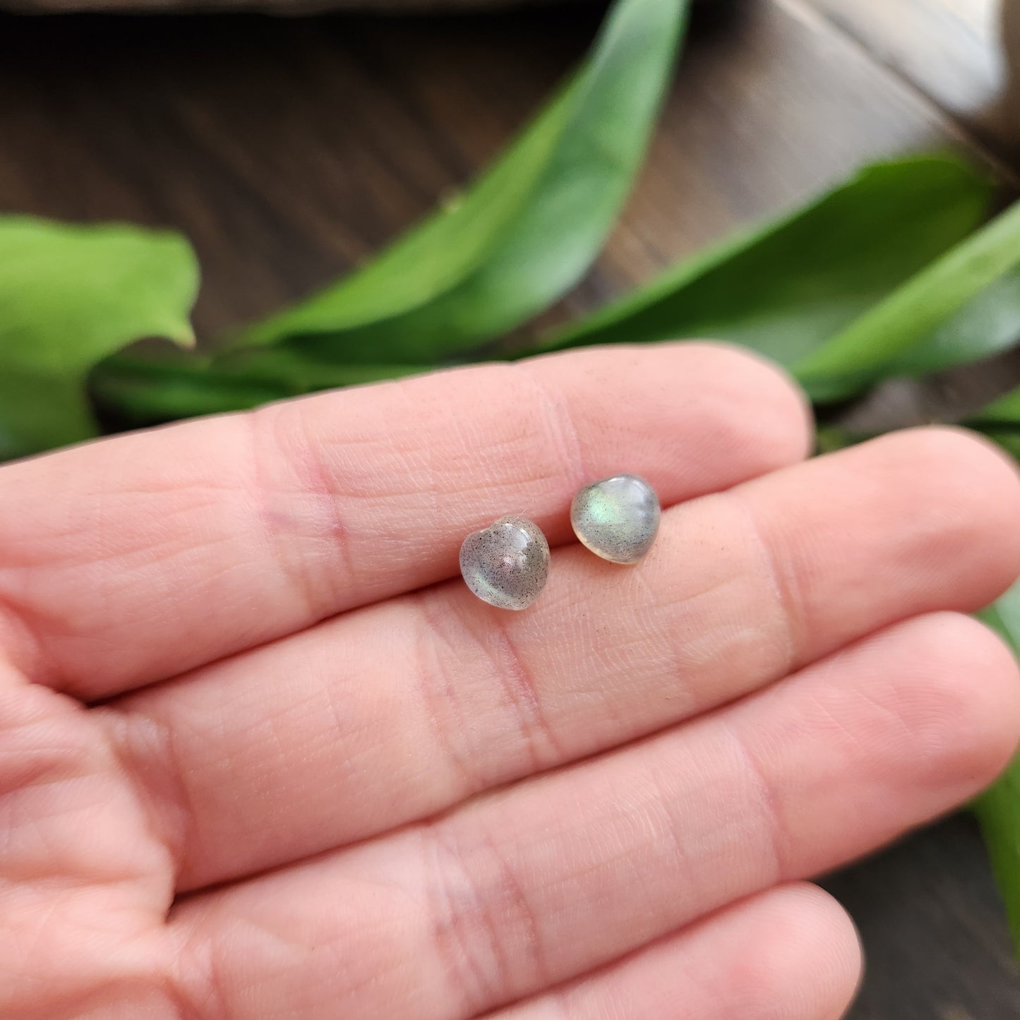 Boucles d'oreilles en Labradorite - Clous n°2 - Argent 925