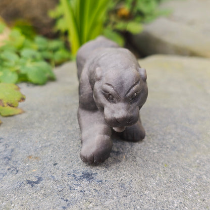 Léopard en Obsidienne argentée mate