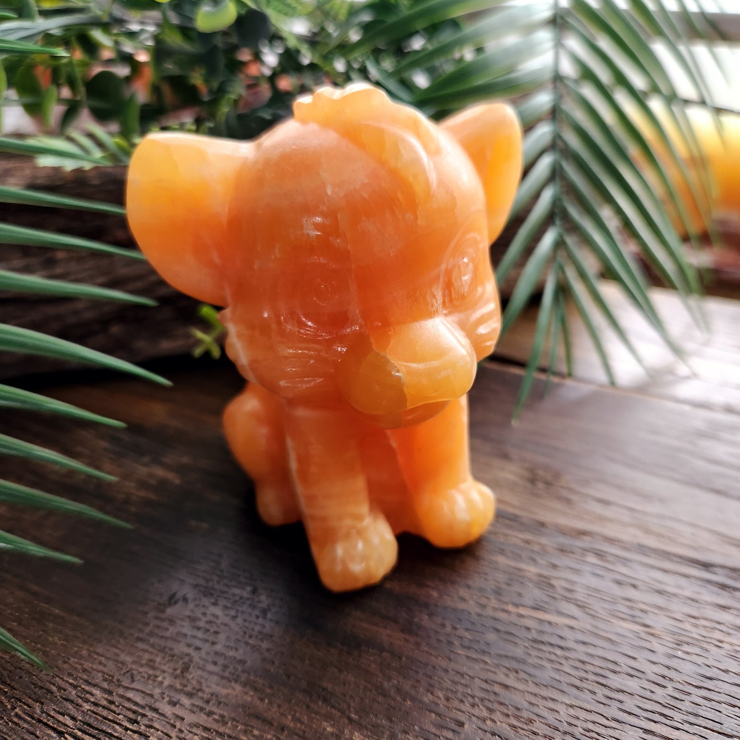 Simba (grand) en Calcite orange