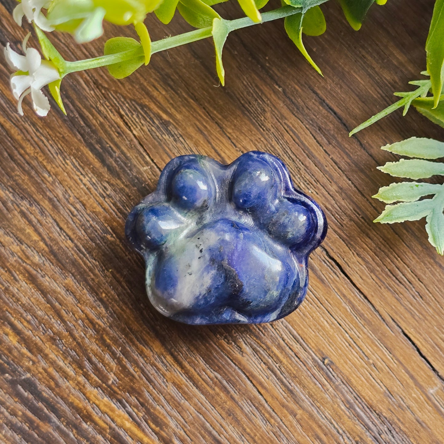 Patte de chat sculptés
