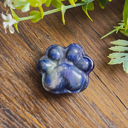 Patte de chat sculptés