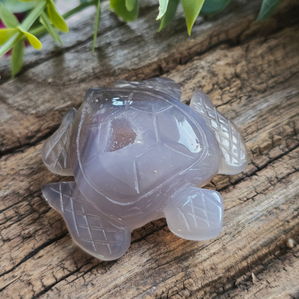 Tortue en Agate n°2