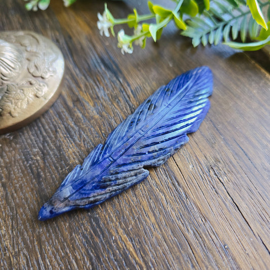 Plume en Sodalite - n°1