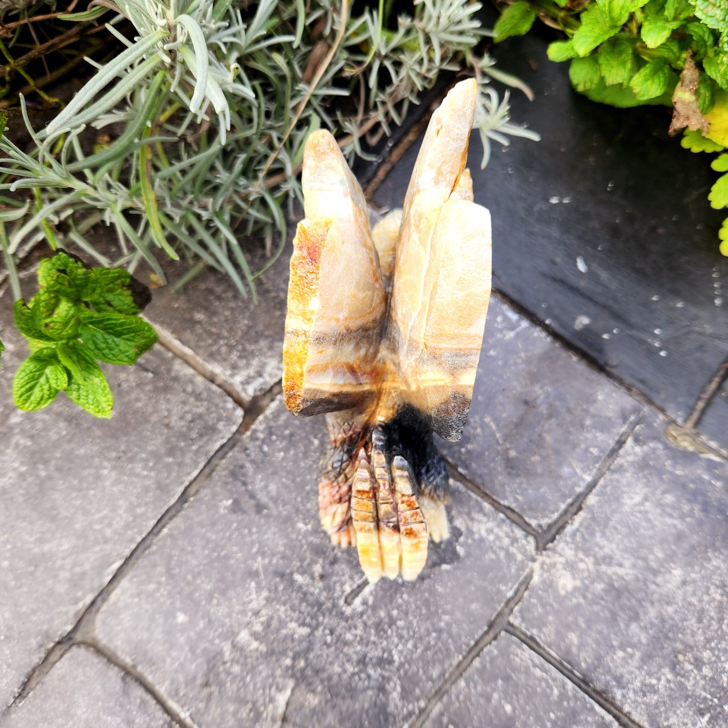 Sculpture de Dragon en Jaspe - n°1