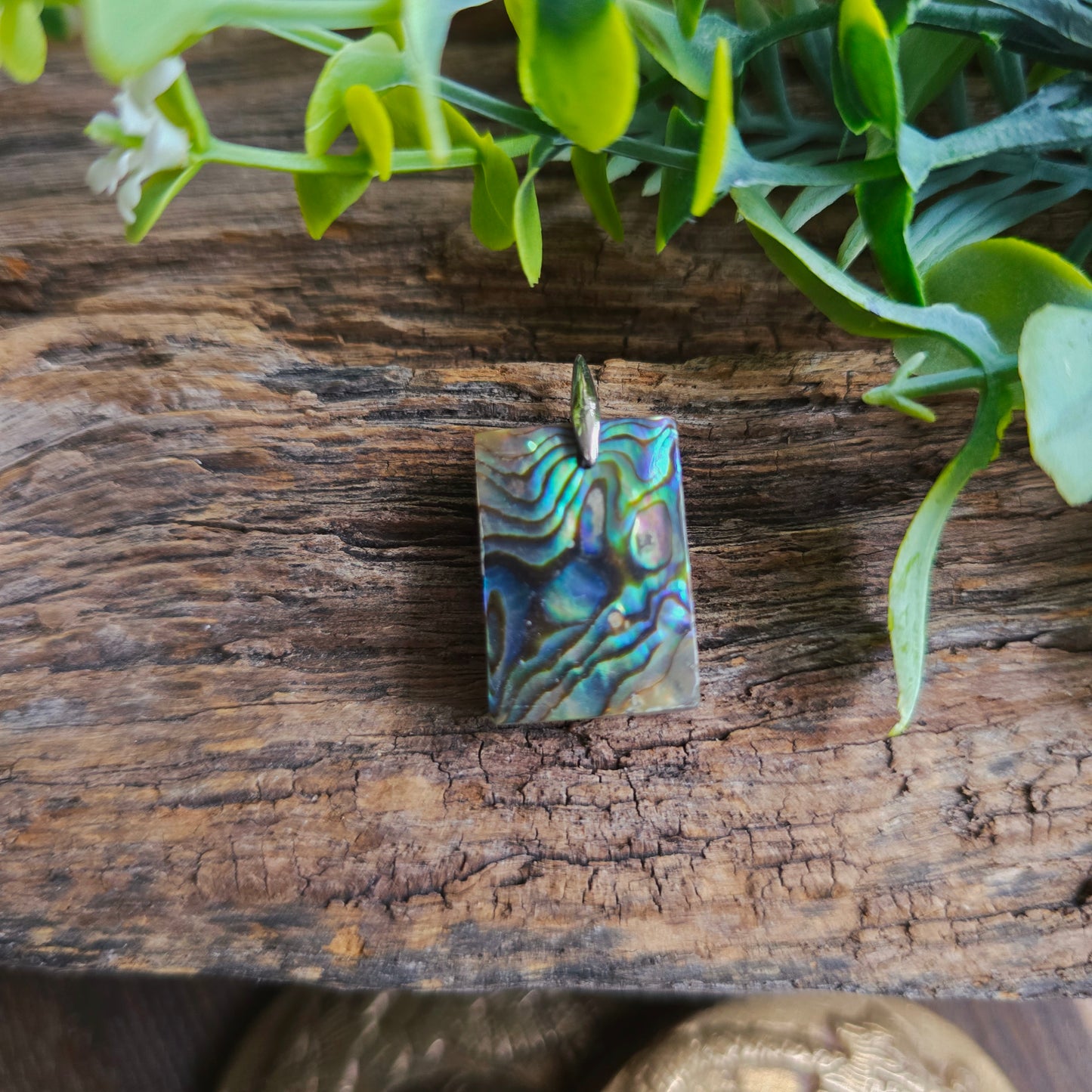 Pendentif en Abalone - n°3