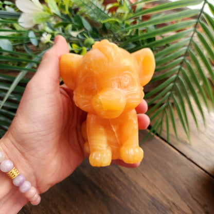 Simba (grand) en Calcite orange