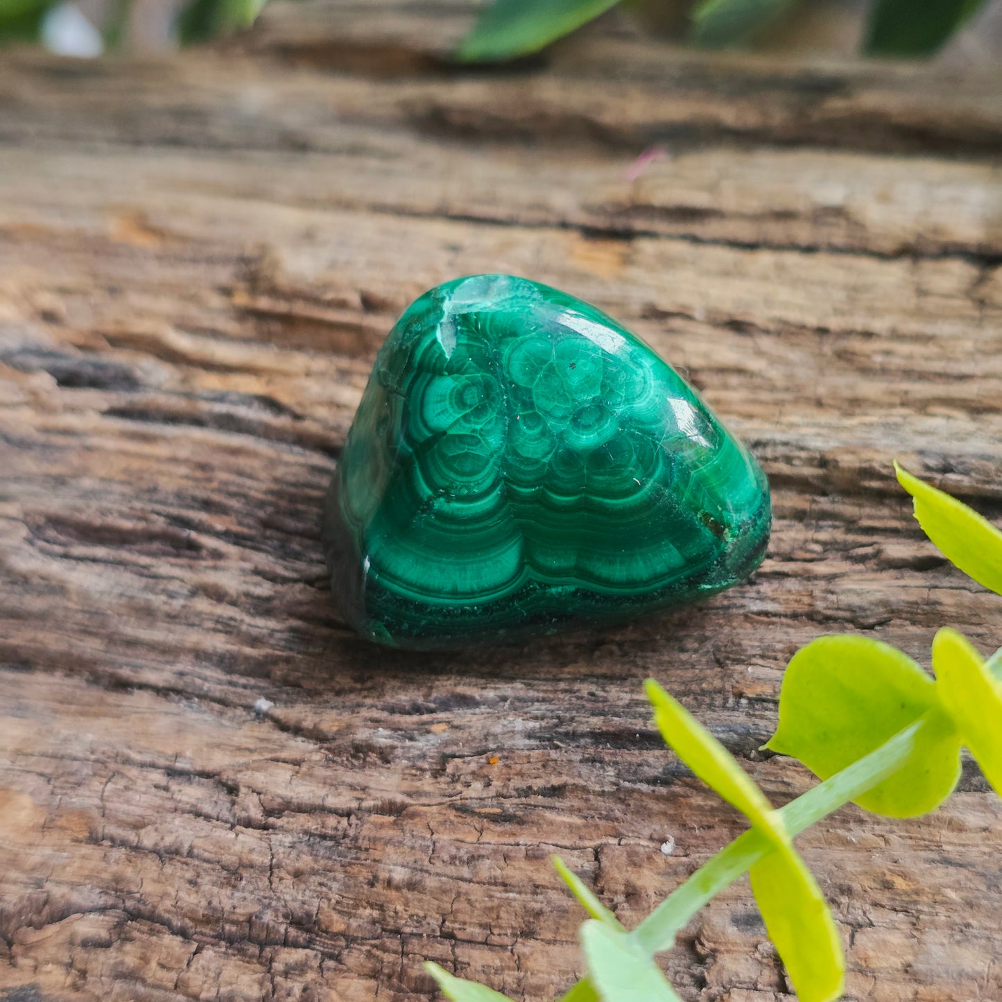 Galet en Malachite - n°2