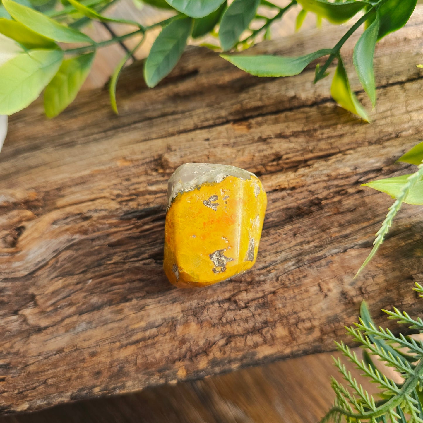 Galet en Jaspe Bumblebee - n°4