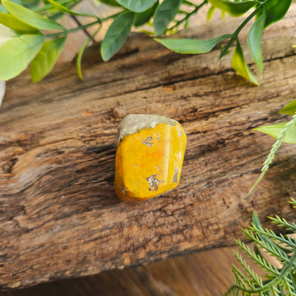 Galet en Jaspe Bumblebee - n°4