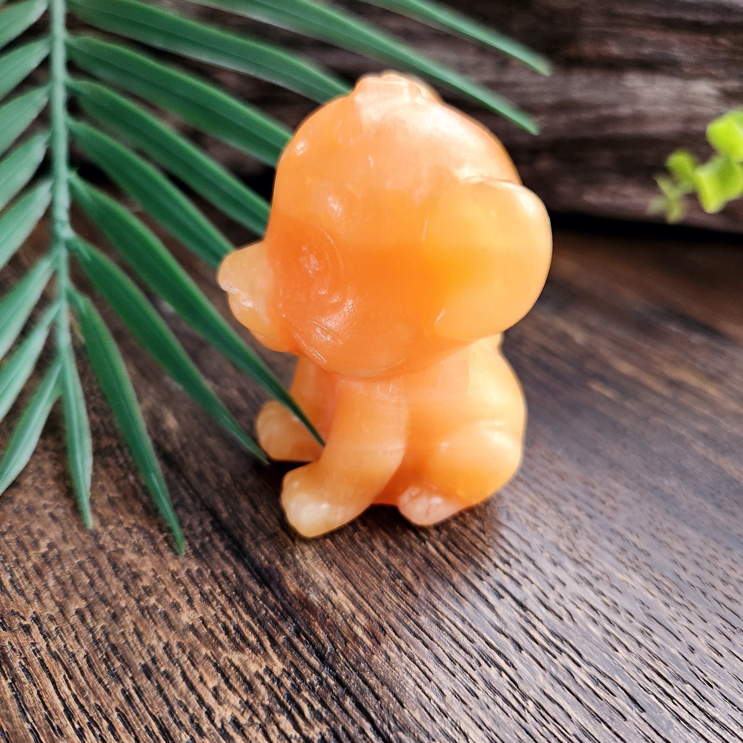 Simba (petit) en Calcite orange