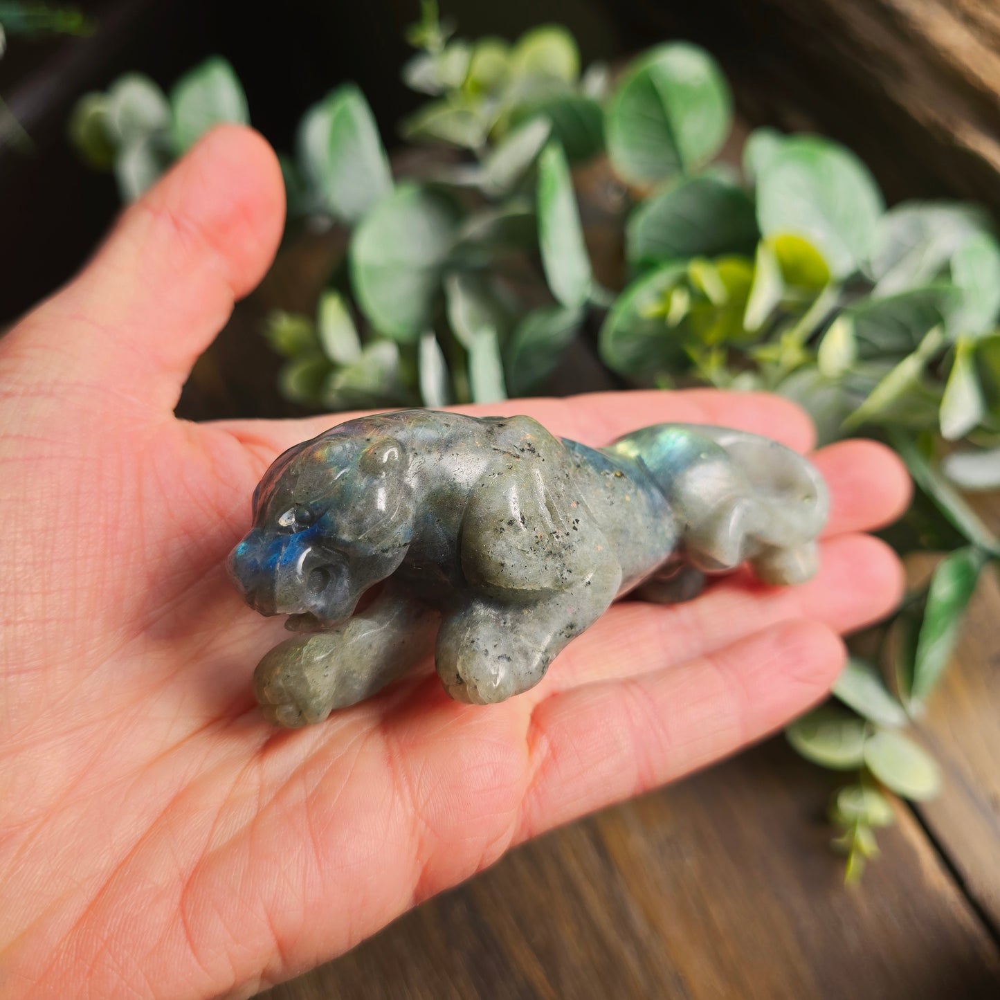 Léopard Labradorite - n°2