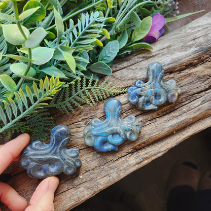 Pieuvre en Labradorite