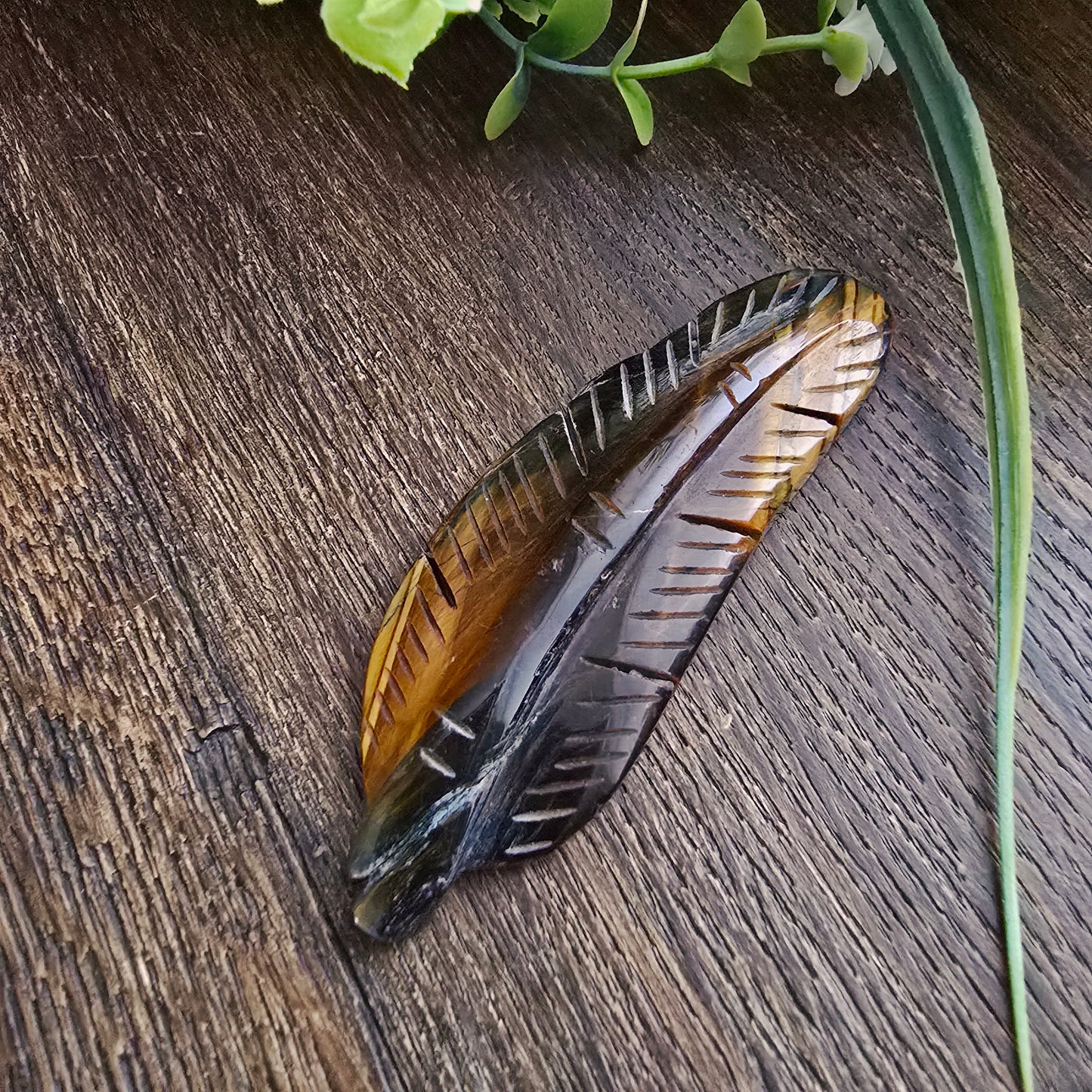 Plume en Œil de tigre - n°1