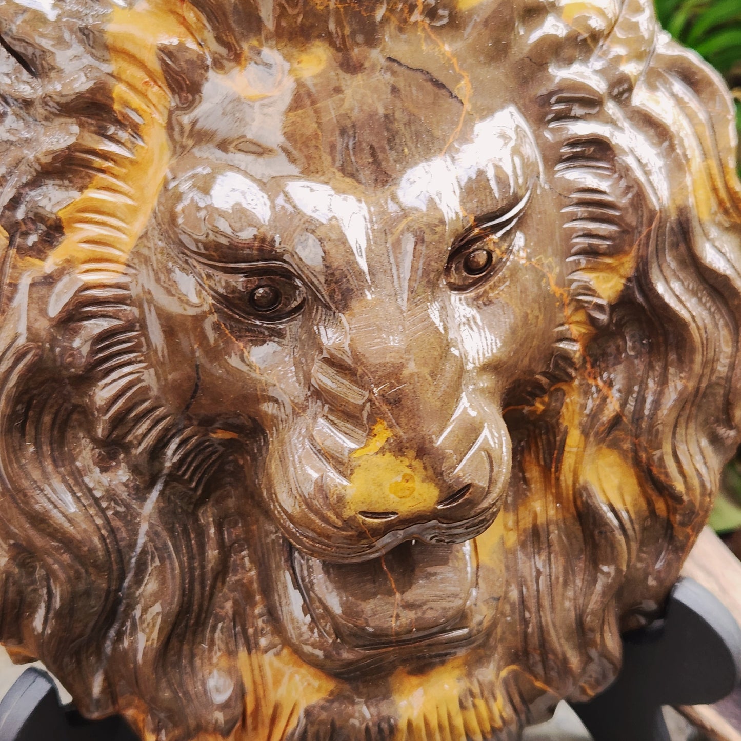 Sculpture Tête de Lion en Jaspe chocolat