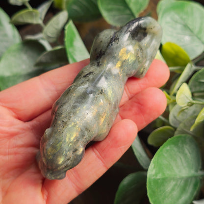 Léopard Labradorite - n°1