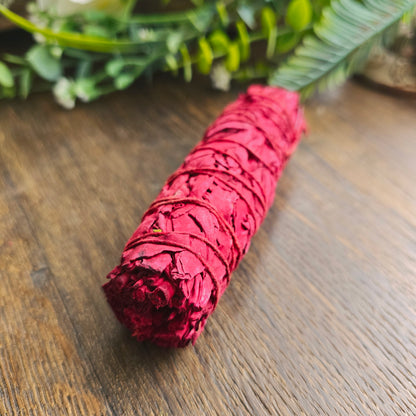 Sauge rouge "sang de dragon"