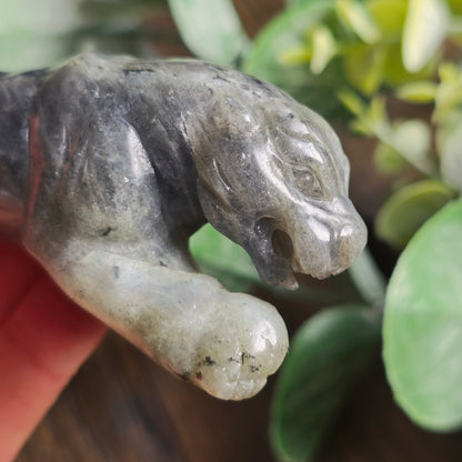 Léopard Labradorite - n°2