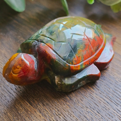 Tortue en Jaspe sanguin