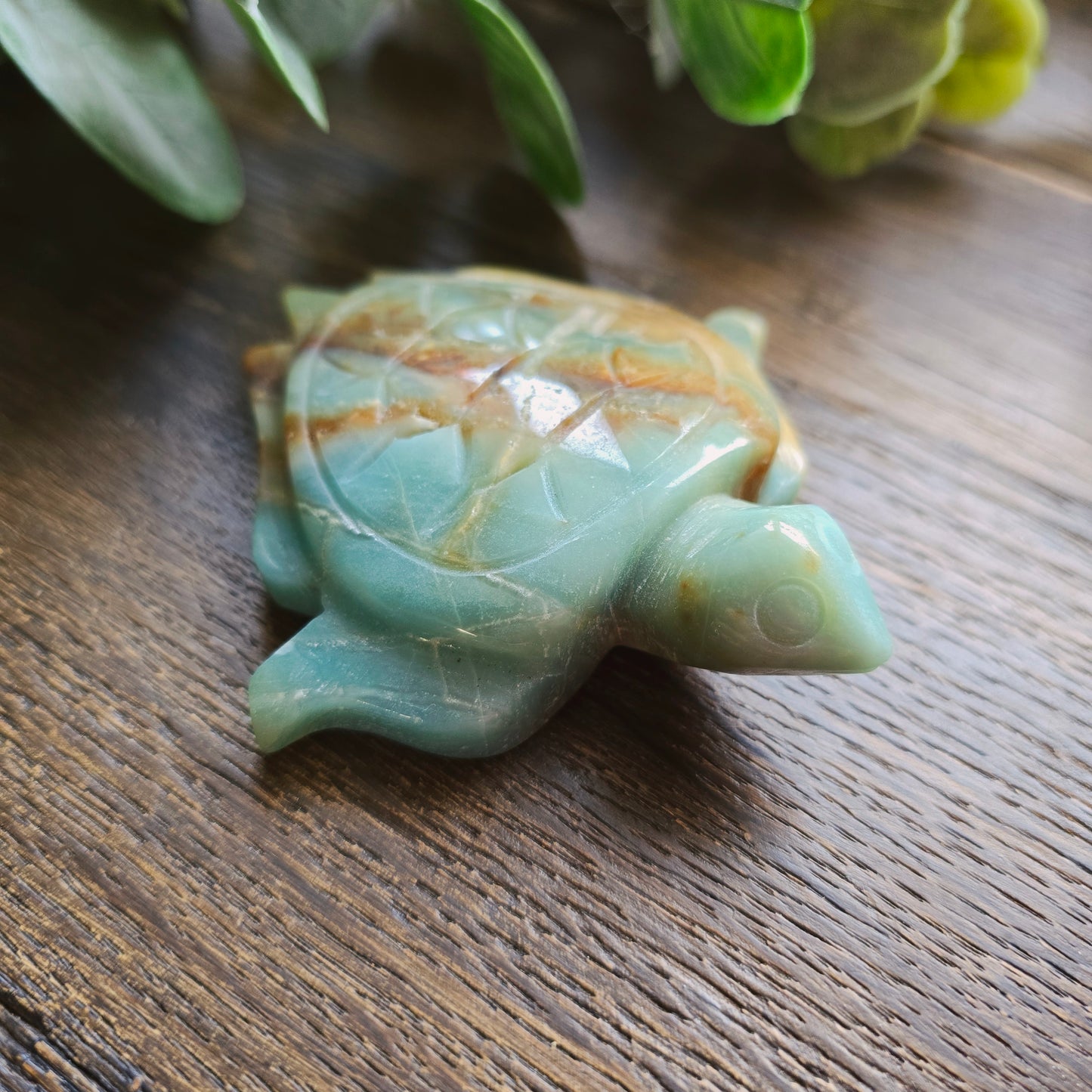 Tortue en Amazonite