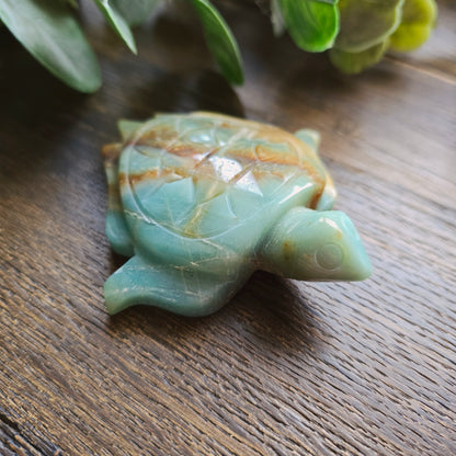 Tortue en Amazonite