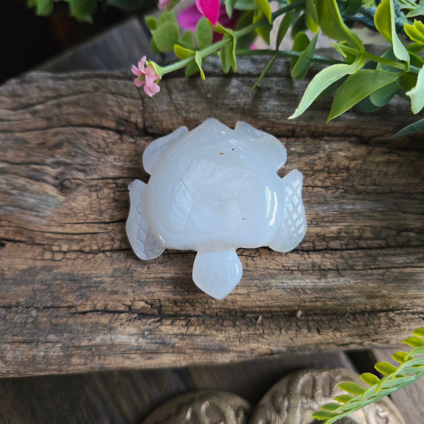 Tortue en Agate n°3